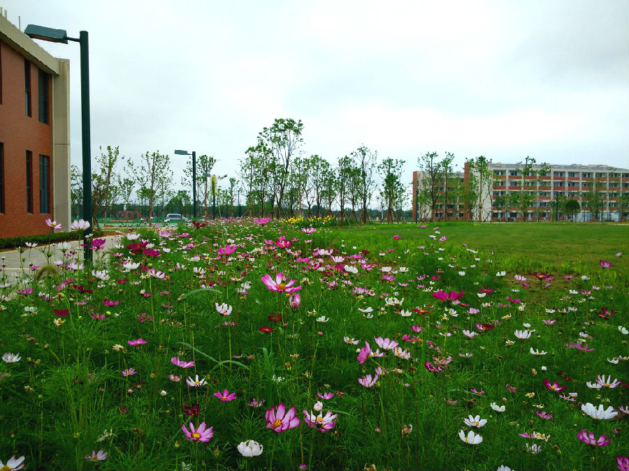 铜陵:市西湖校区竣工 金秋迎接首批学子