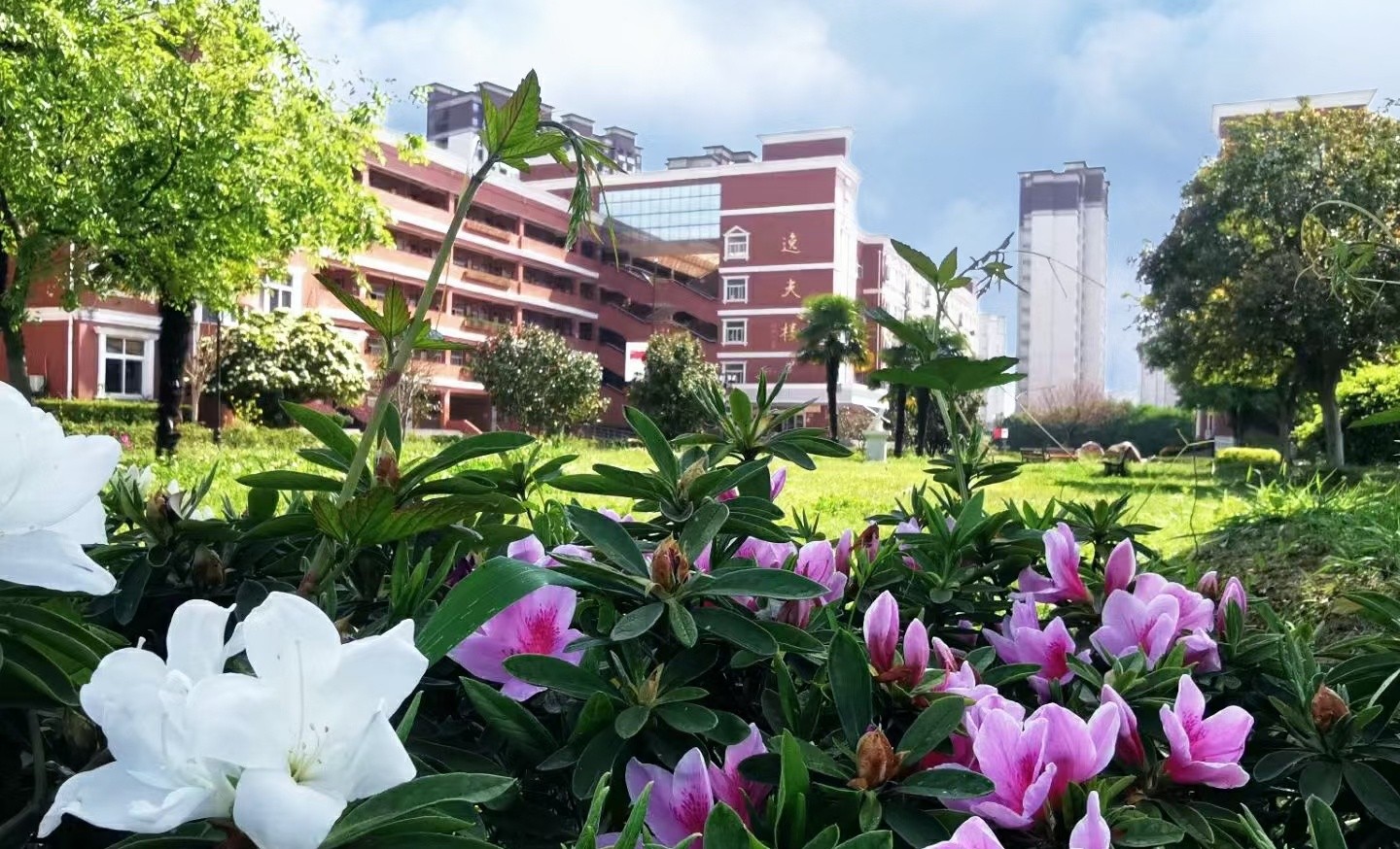 微信图片_20221221104502_看图王.jpg 微信图片_20221221104502_看图王.jpg