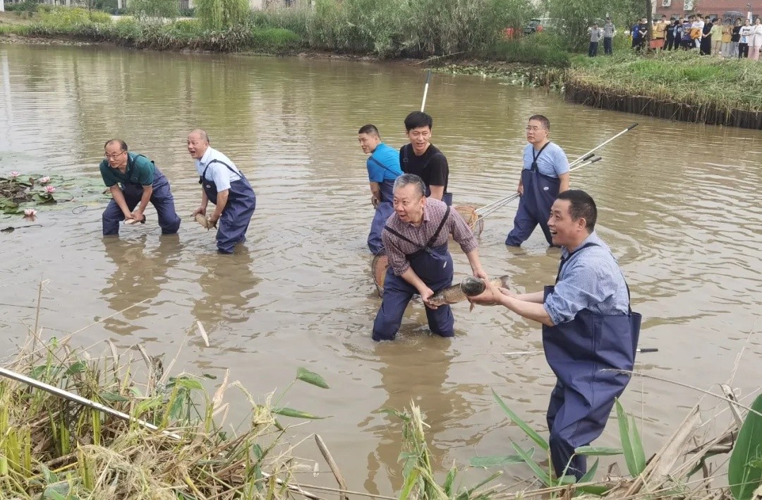 640.webp (1)_看图王.jpg