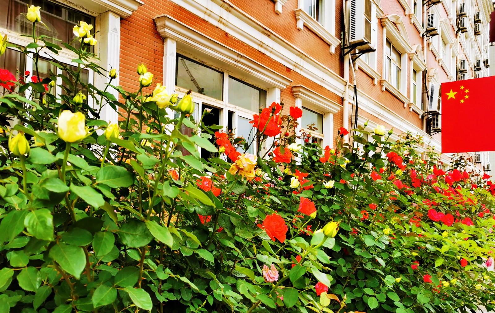 微信图片_20230501071121_看图王.jpg 微信图片_20230501071121_看图王.jpg