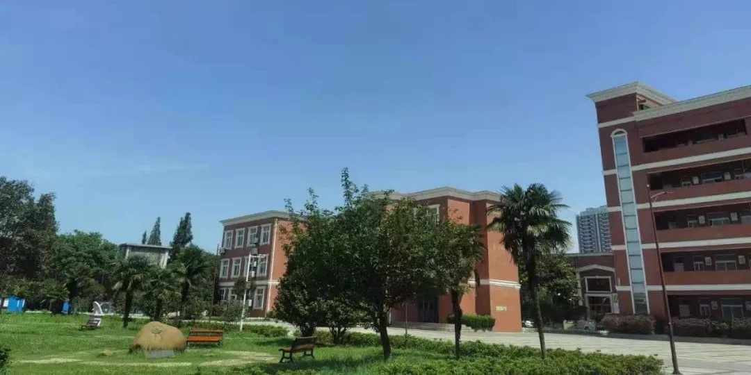 微信图片_20230217174636_看图王.jpg 微信图片_20230217174636_看图王.jpg