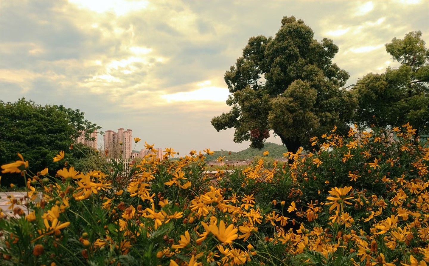 微信图片_20221221104902_看图王.jpg 微信图片_20221221104902_看图王.jpg