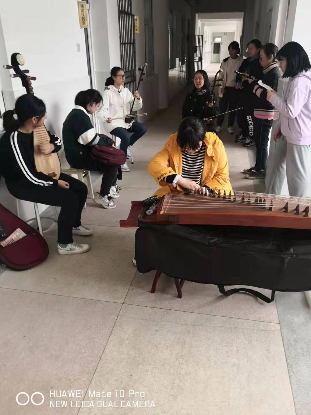 suxin1.jpg