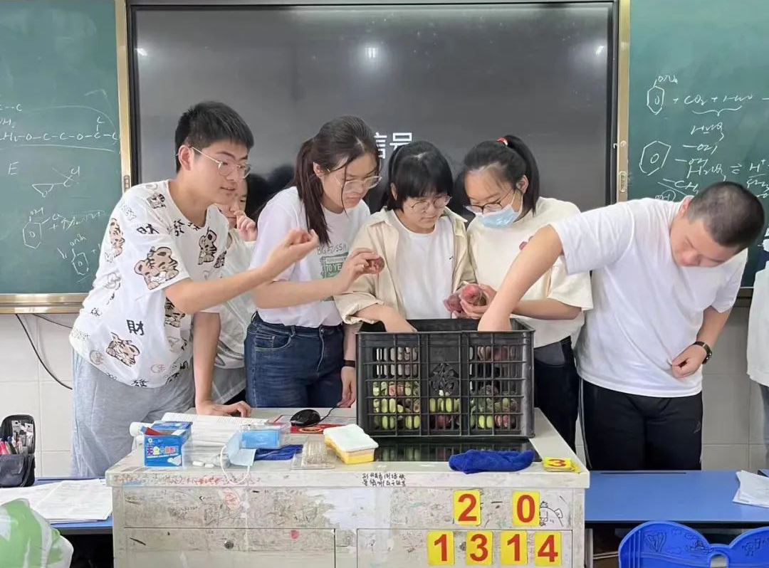 图片19_看图王.png