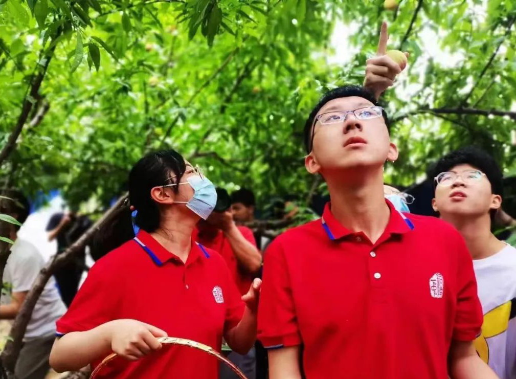 图片8_看图王.png