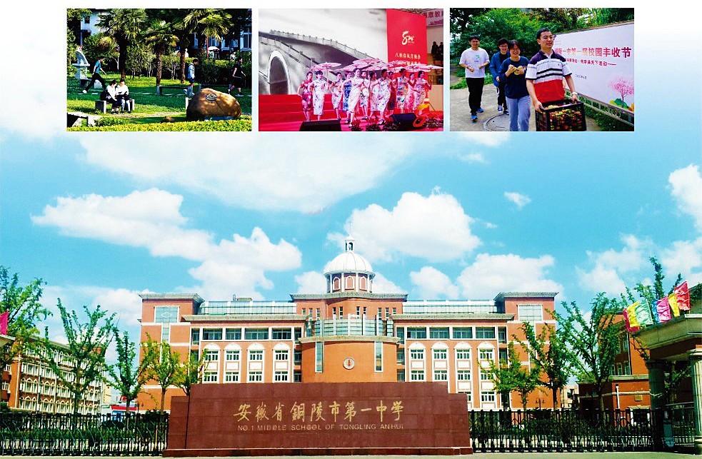 6380523477927460001539936_看图王(1).jpg