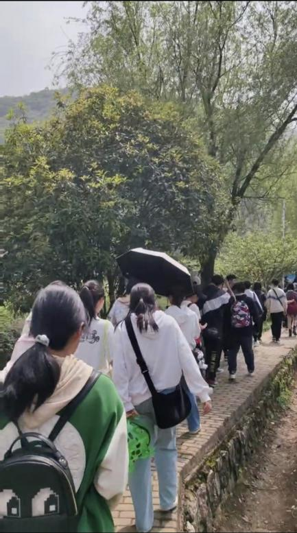 图片9.png 图片9.png