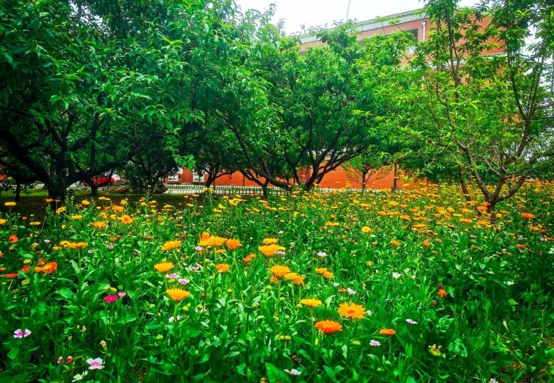 640 (16)_看图王.jpg